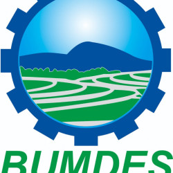 BADAN USAHA MILIK DESA